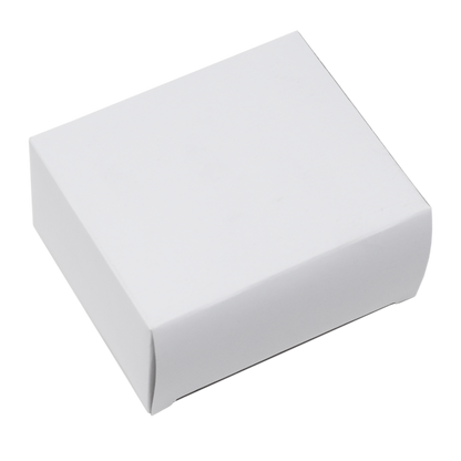 Replacement Case Power Supply brick (2A)
